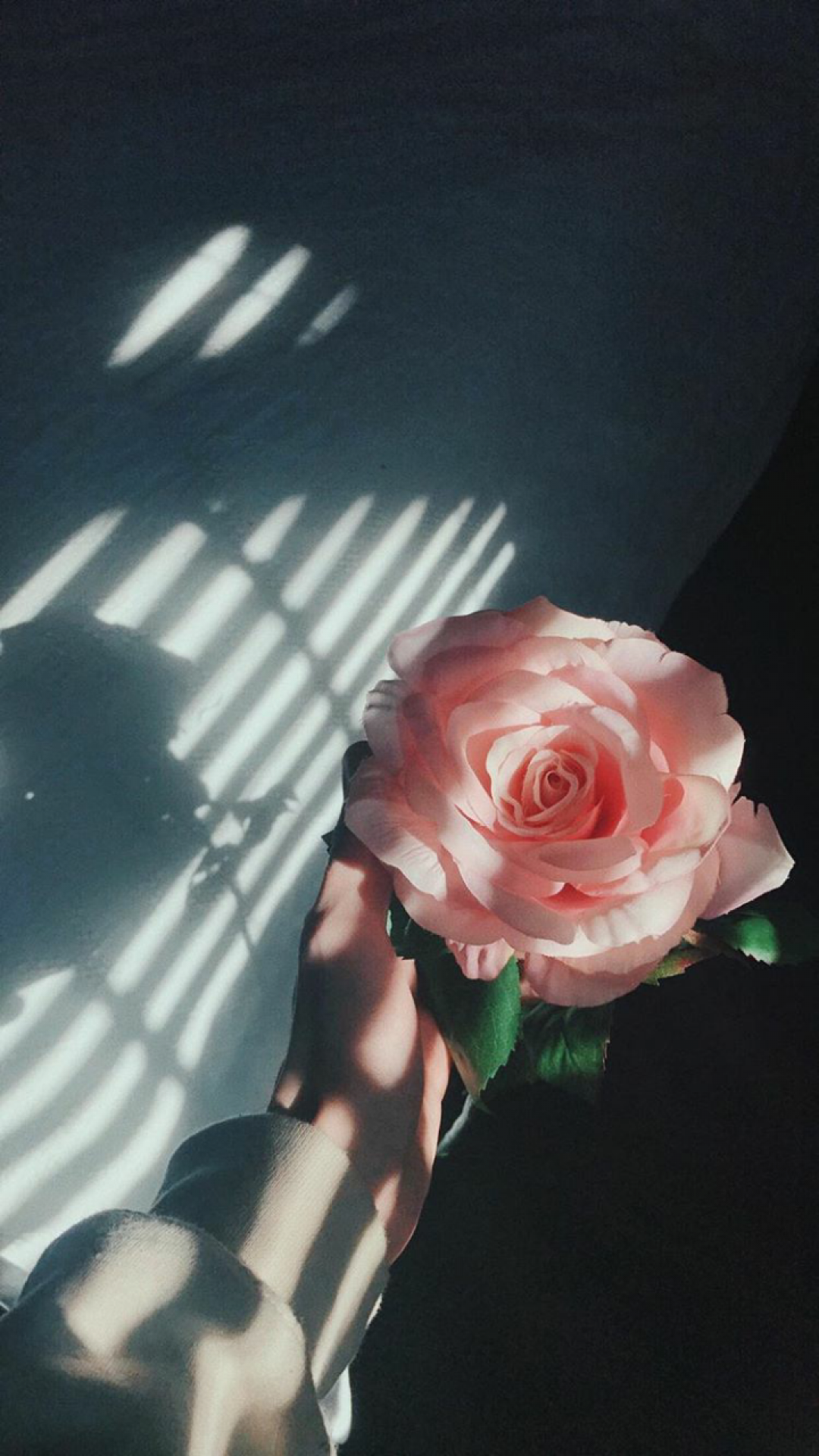 Aesthetic Flower Picture Wallpaper