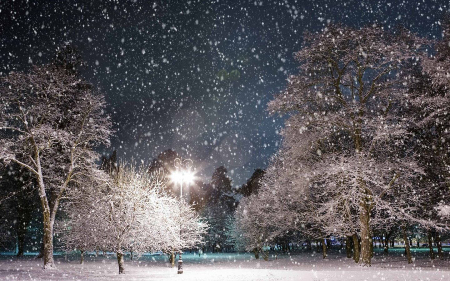 Free download Winter Night Mac Wallpaper Download Mac Wallpaper Download [1920x1080] for your Desktop, Mobile & Tablet. Explore Winter Wallpaper For Mac. Winter Wallpaper For Computer, Free Wallpaper Downloads