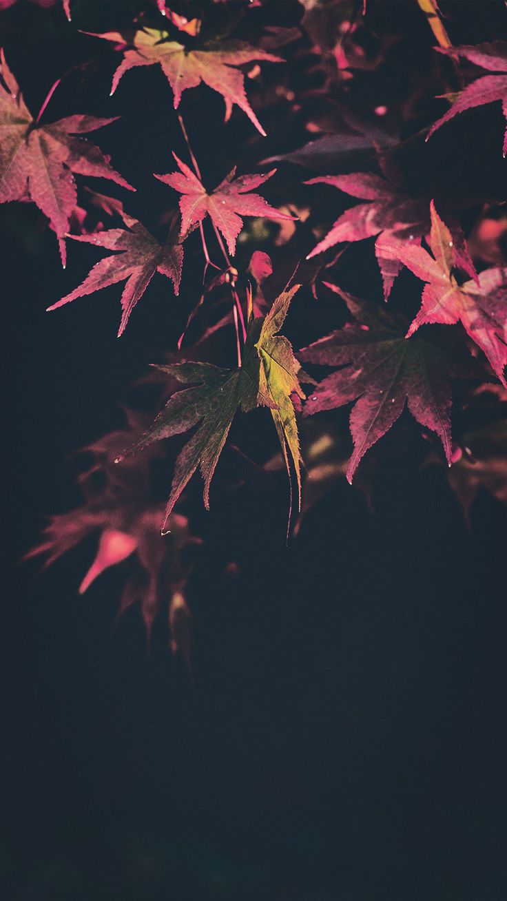 Gorgeous Happy Fall iPhone X