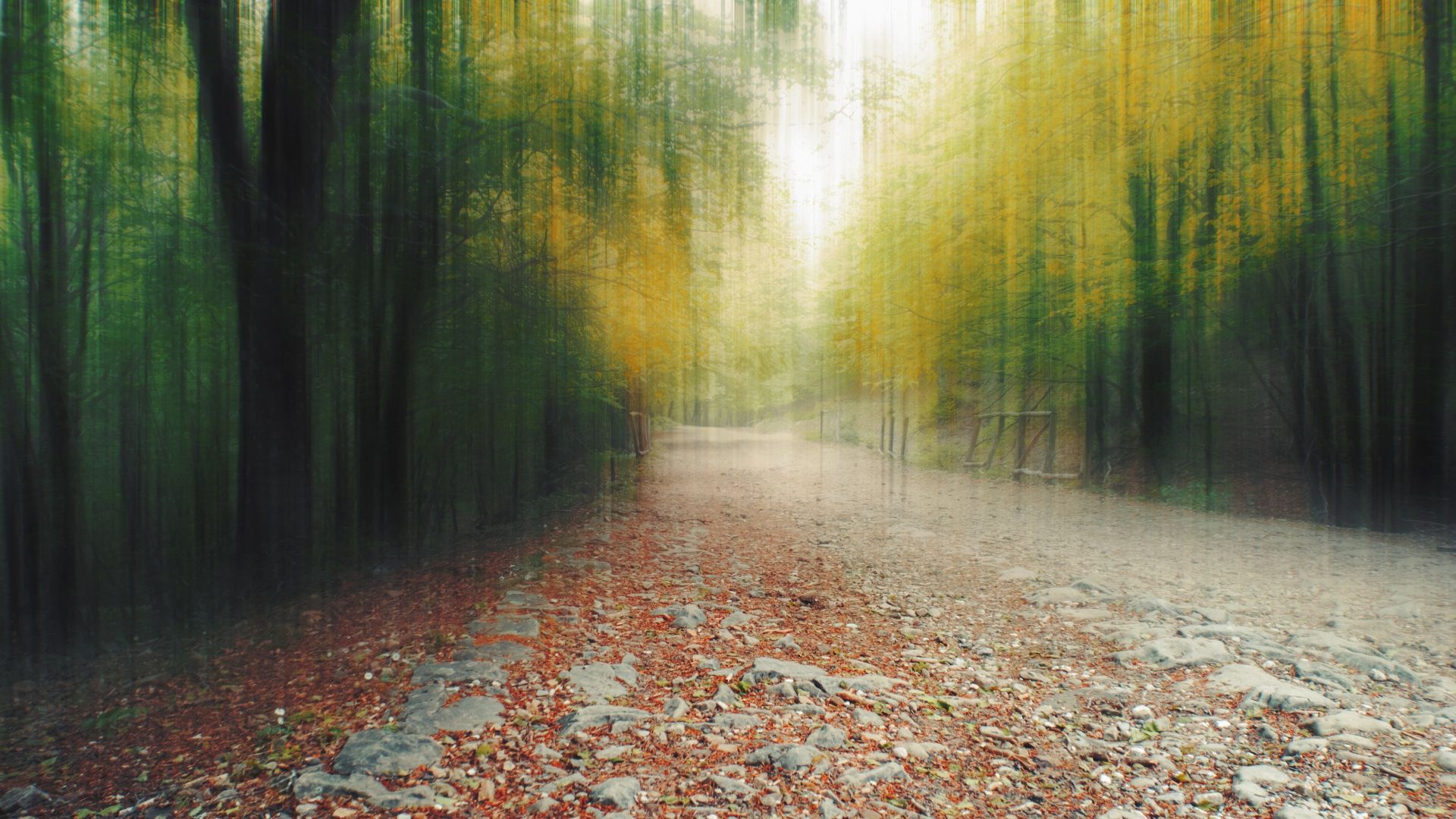 Desktop wallpaper forest, path, foliage, autumn, blurry, HD image, picture, background, a1a1e3
