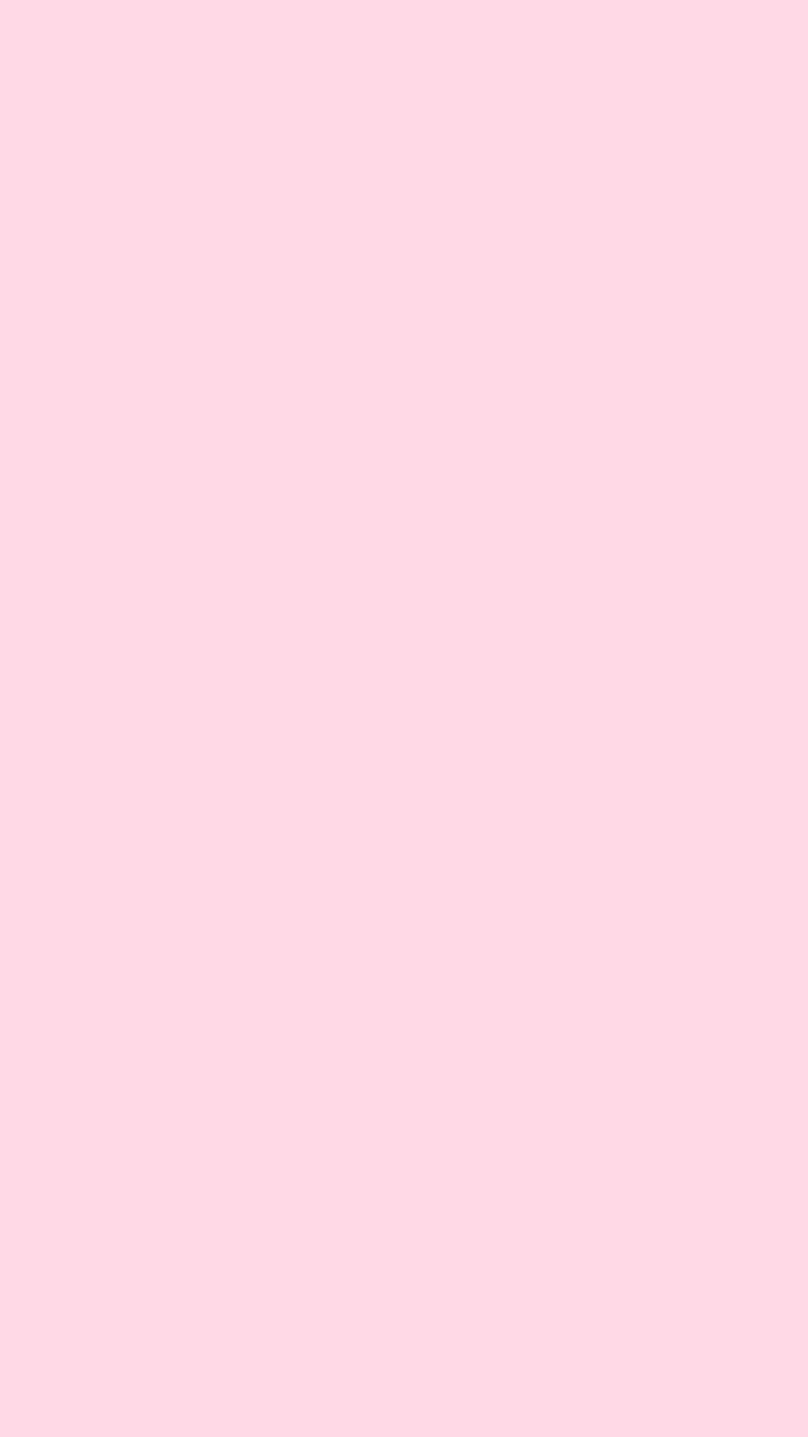 Solid Pink Color Wallpaper