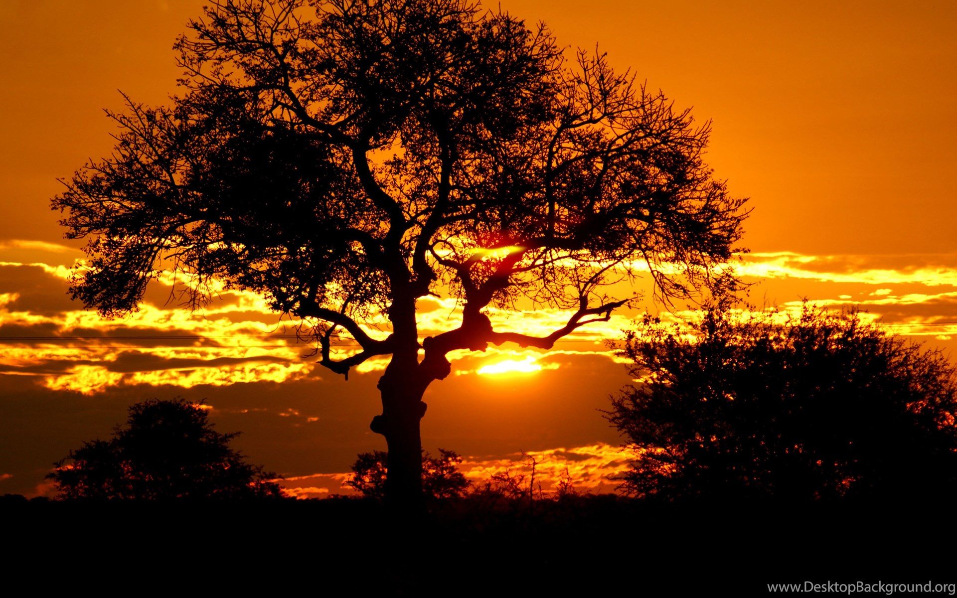 Kruger Park Sunset, South Africa Wallpaper 1756 - Sunset Field. Desktop Background