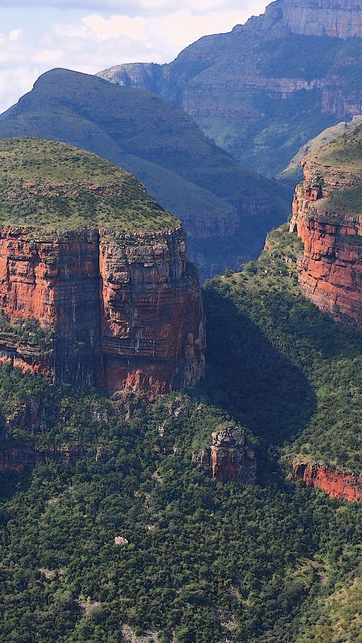 South Africa Forest Mountains IPhone Wallpaper. Android Wallpaper Flowers, Android Wallpaper, Wallpaper Iphone 4s