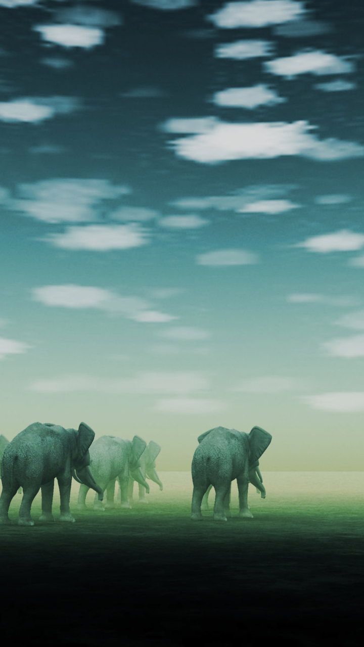 Free Elephant Wallpaper For iPhone