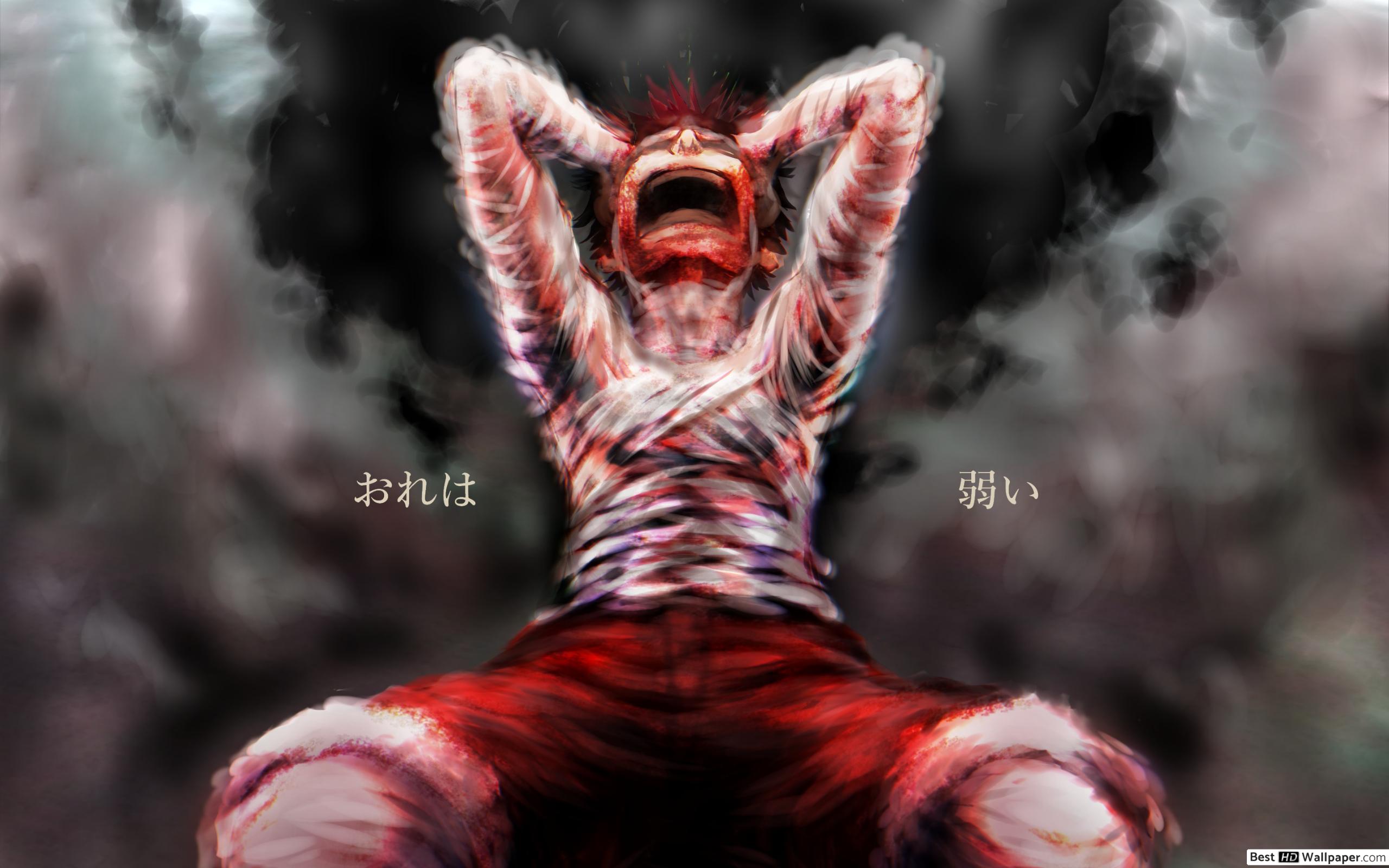 One Piece Sorrowful Cry HD wallpaper download