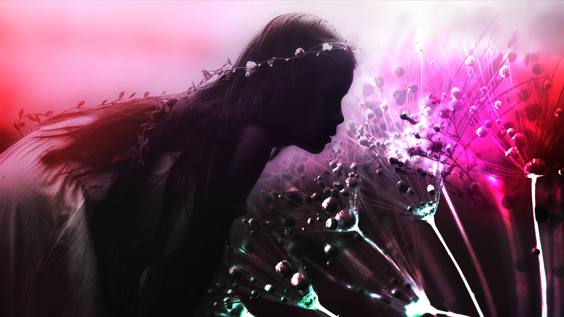 Dandelion Girl Wallpaper For Chromebook