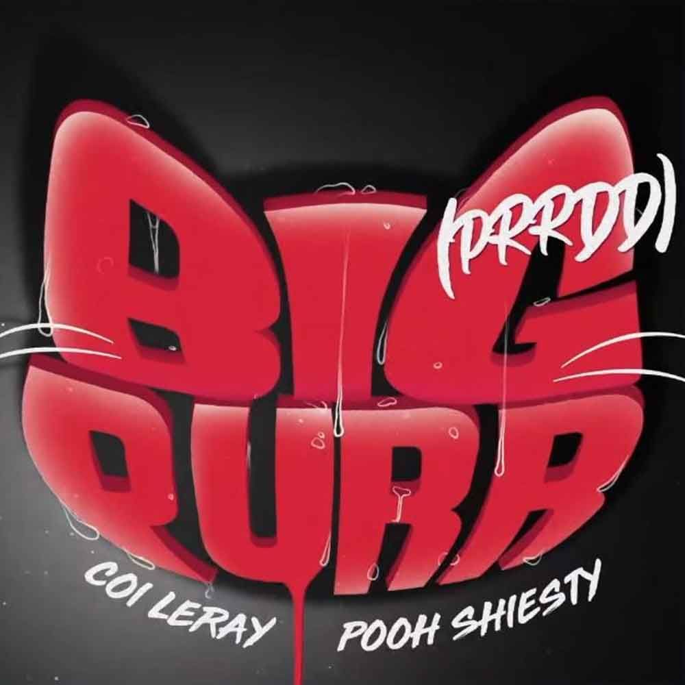 Big Purr Leray Feat. Pooh Shiesty Music Releases, WavWax. Pooh, Music album cover, New music releases