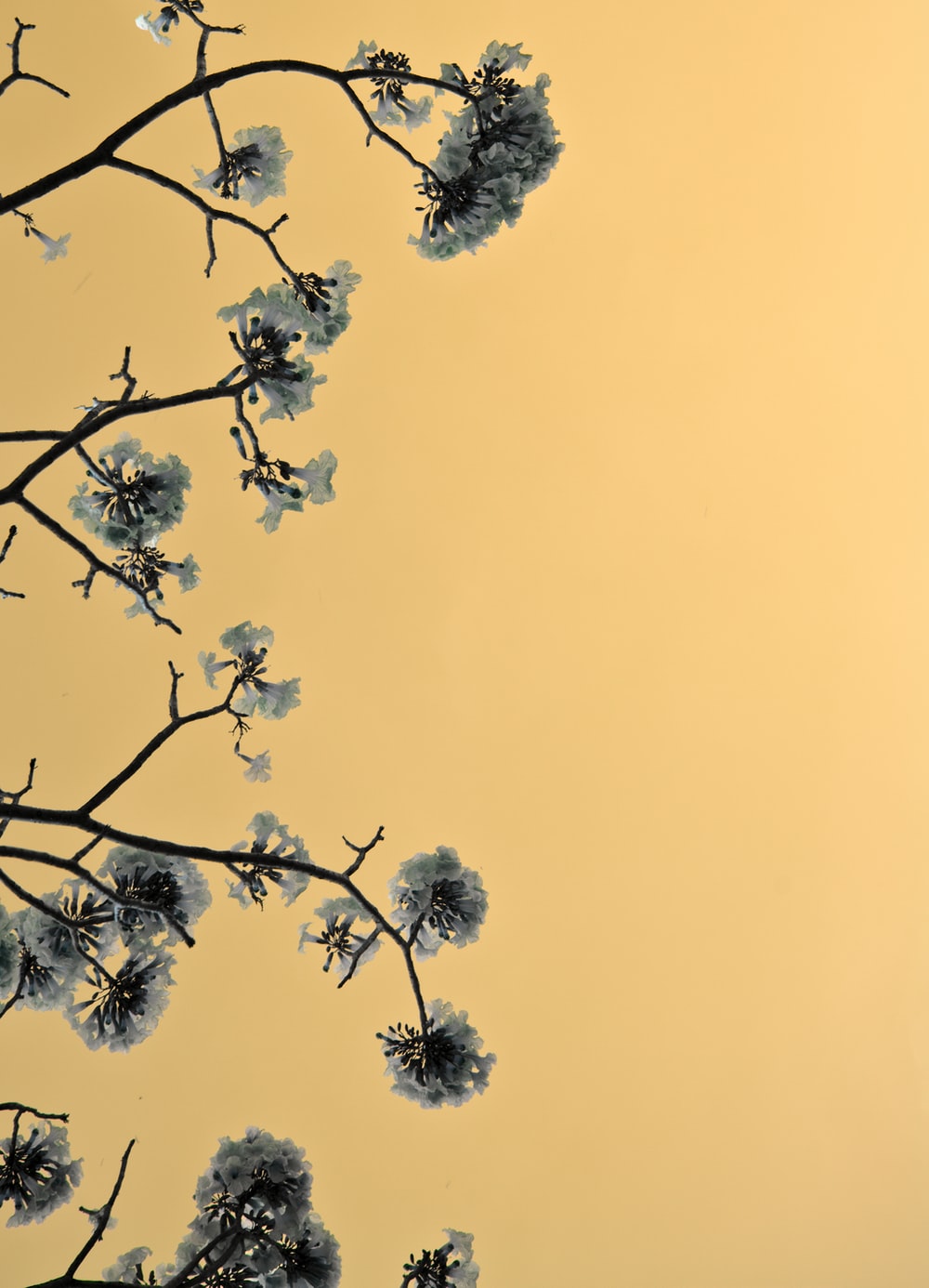 Japanese Design Wallpapers Wallpaper Cave