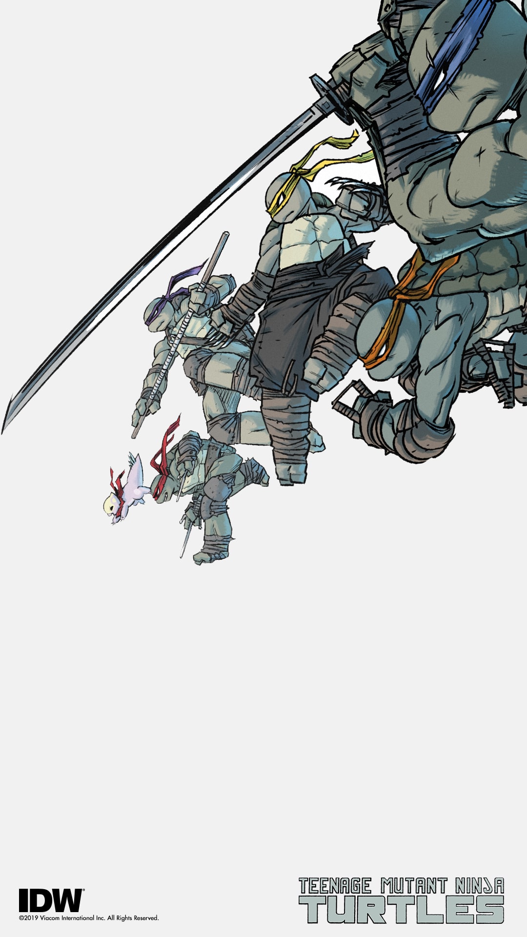 Teenage Mutant Ninja Turtles Fan Kit