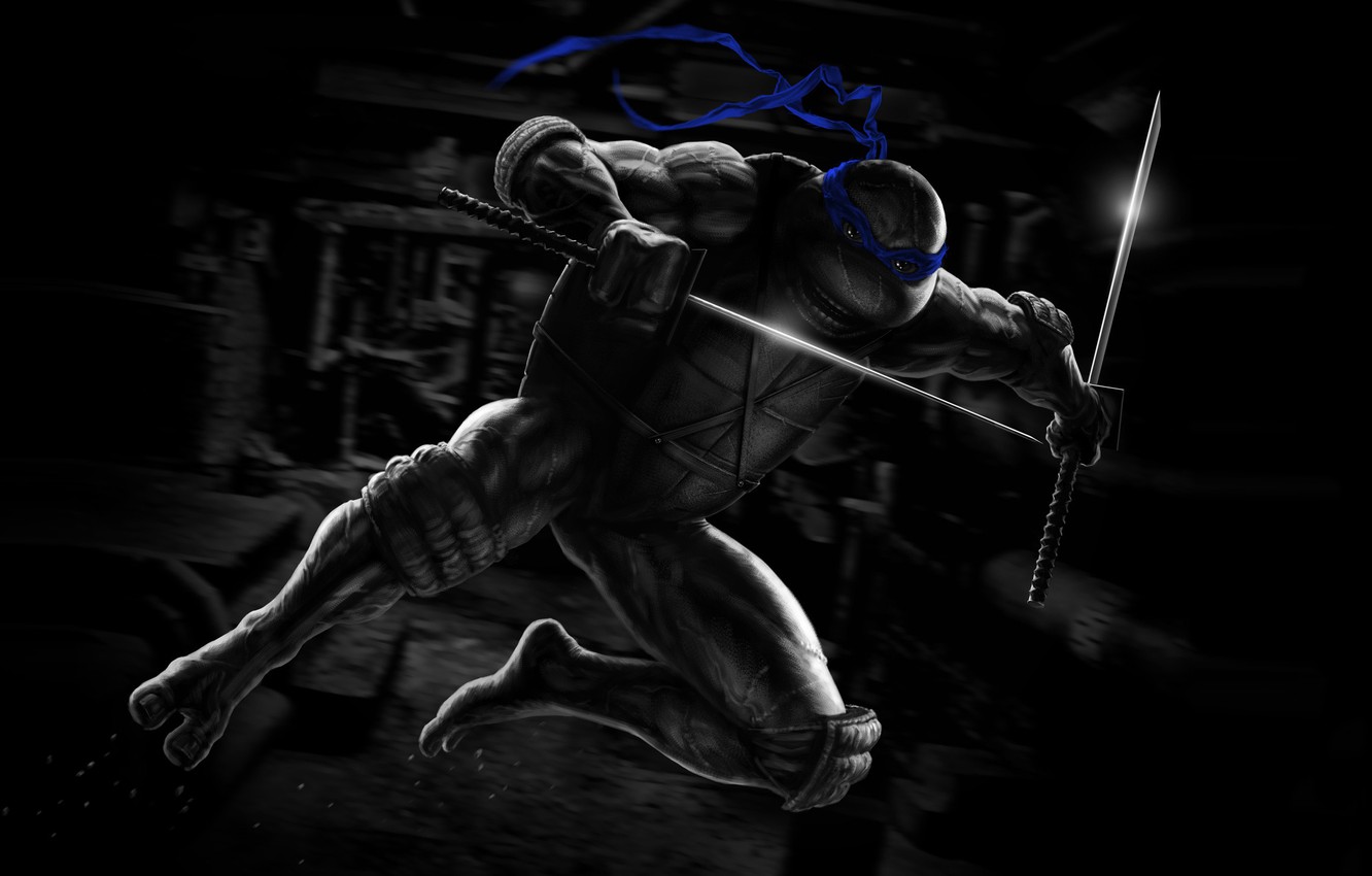 Wallpaper Ninja, Teenage mutant ninja turtles, TMNT, Leonardo, Leonardo, Teenage Mutant Ninja Turtles, Turtles, Concept Art, Leo, Characters, NOIR TMNT, ANDREY GORKOVENKO, by ANDREY GORKOVENKO image for desktop, section арт