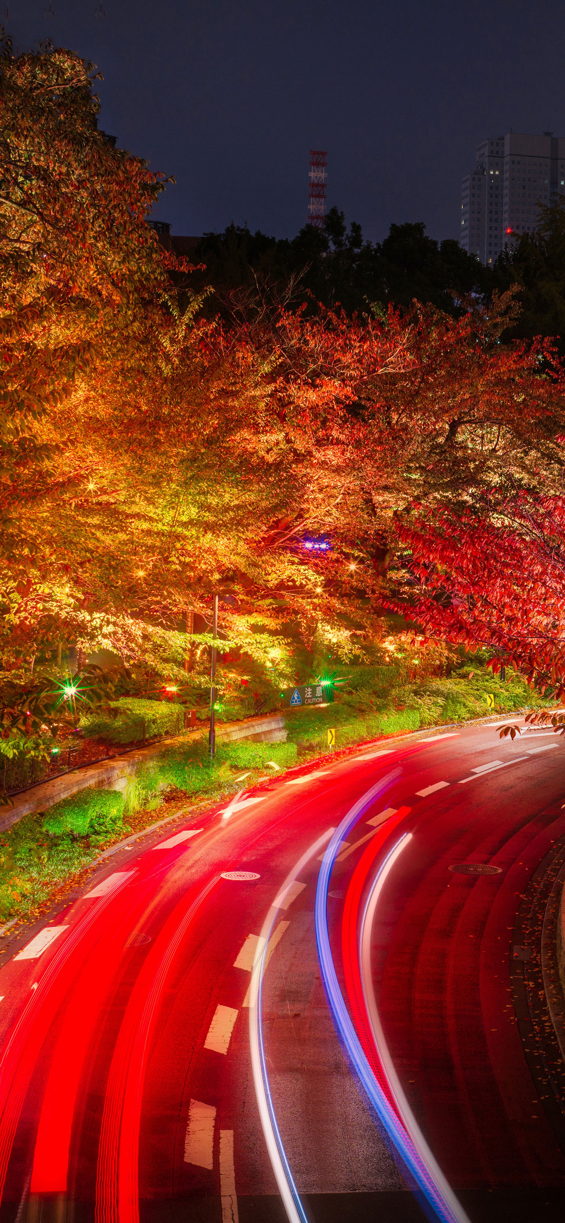 Japan Tokyo Roads Autumn Trees Night iPhone XS, iPhone 10, iPhone X HD 4k Wallpaper, Image, Background, Photo and Picture