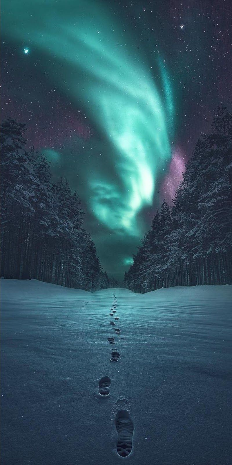 Northern Lights iPhone X Wallpaper