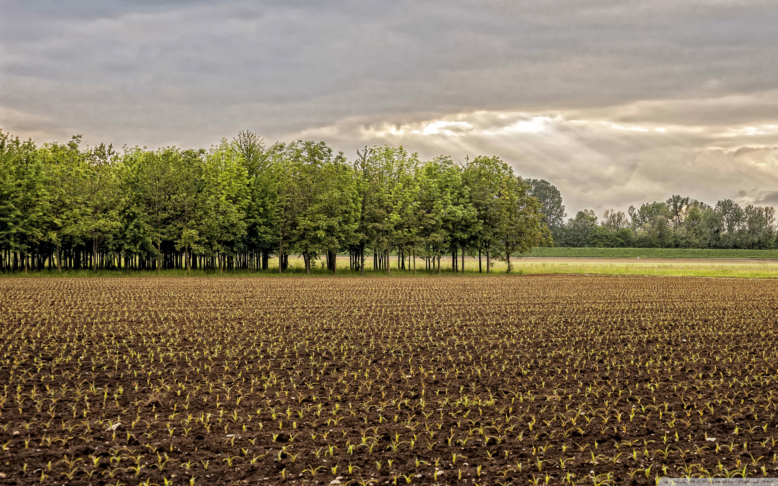 Somewhere in Northern Italy Ultra HD Desktop Background Wallpaper for: Widescreen & UltraWide Desktop & Laptop, Multi Display, Dual Monitor, Tablet
