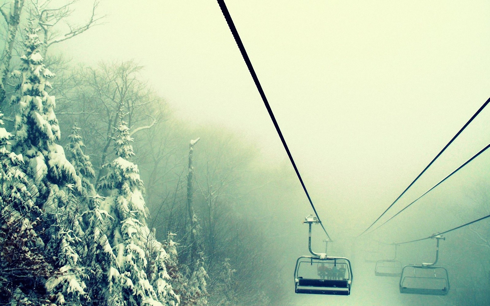 Nature winter snow forest monochrome cable car wallpaperx1200
