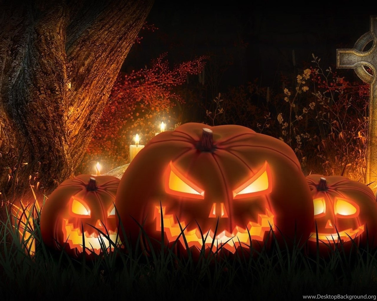 Halloween skull and pumpkin wallpapers wallpaper cave