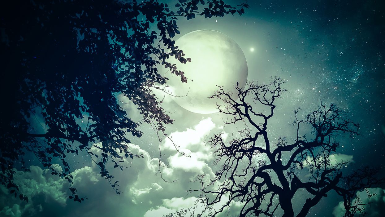 Moon and Tree Wallpaper Free Moon and Tree Background