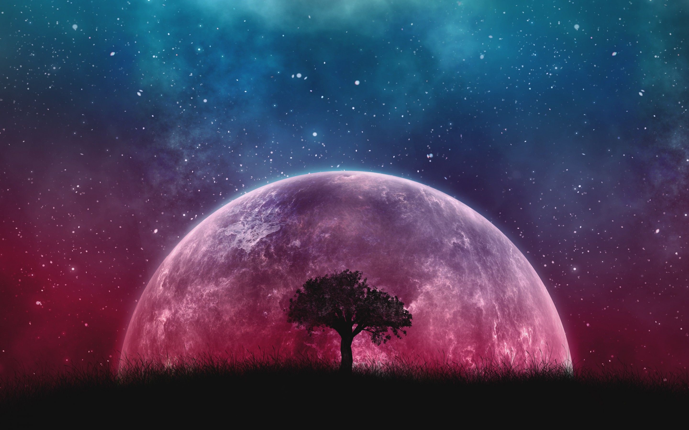 Moon and Tree Wallpaper Free Moon and Tree Background