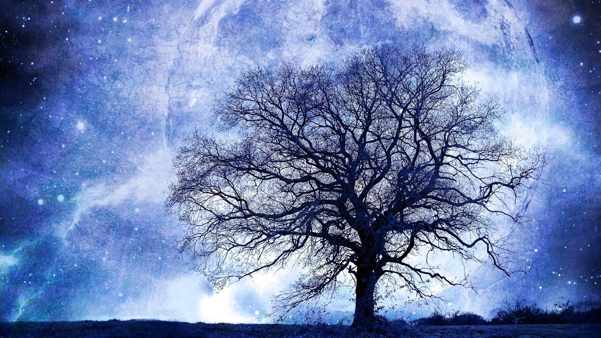 Tree on Blue Moon Night HD Wallpaper