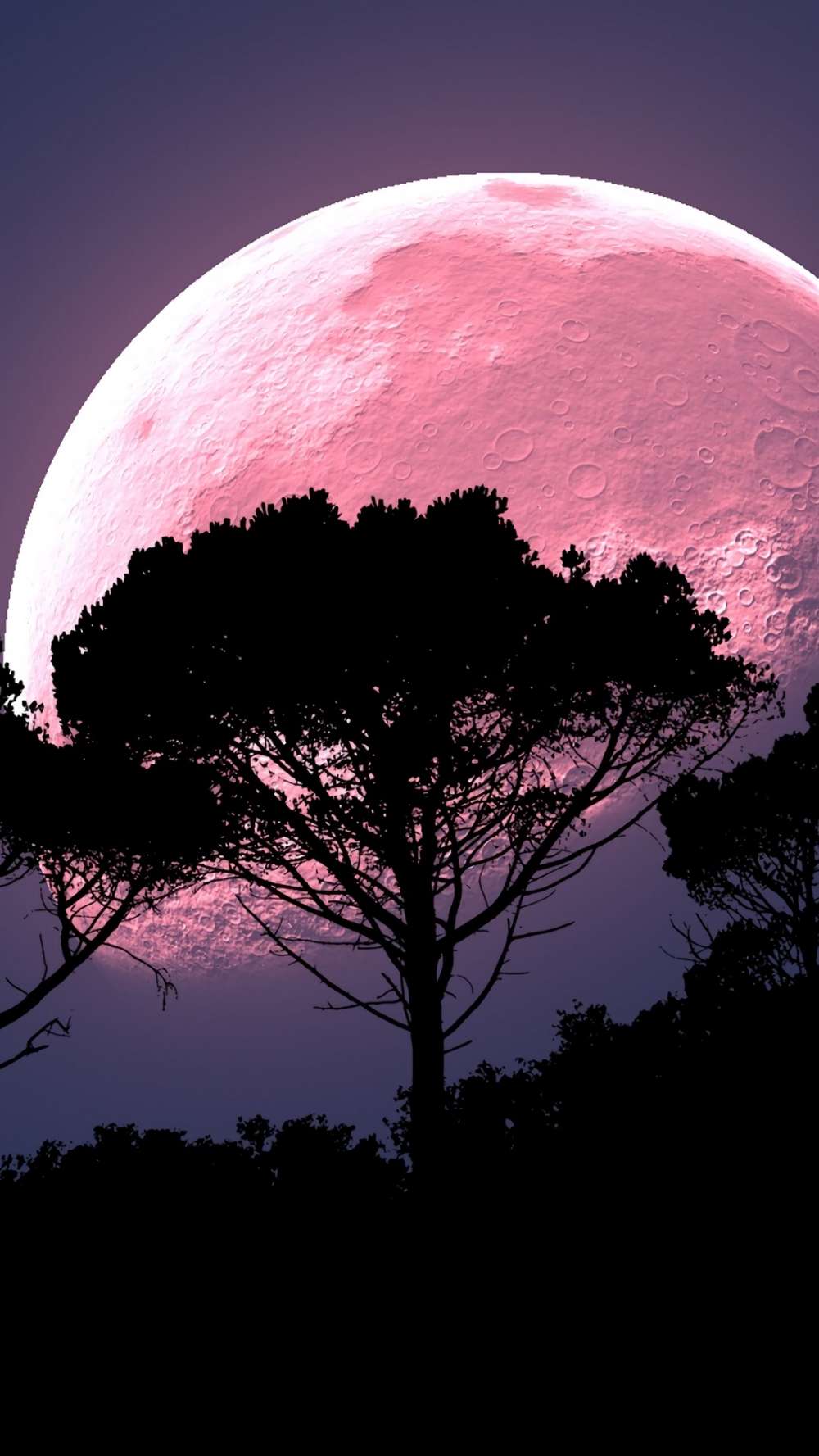 moon, tree,. Planets wallpaper, Pink moon wallpaper, Romantic wallpaper