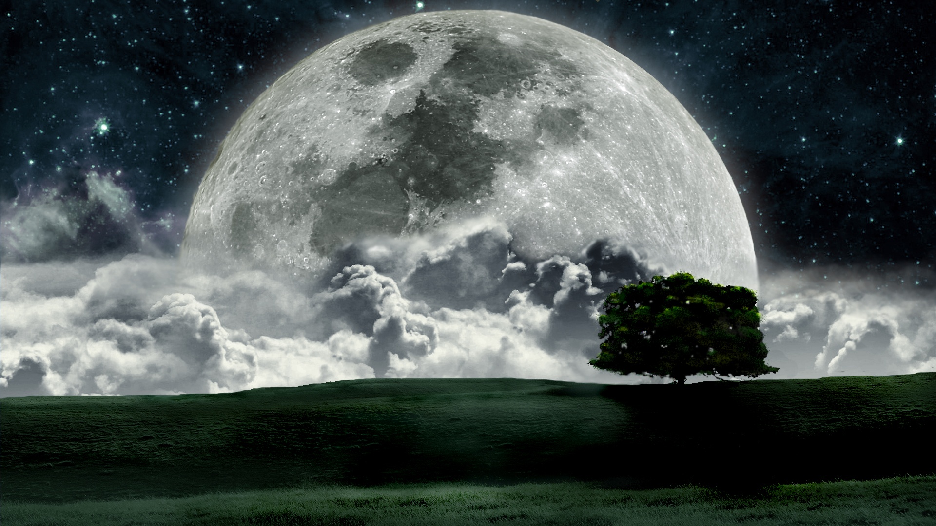 Wallpaper, moon, tree, animated