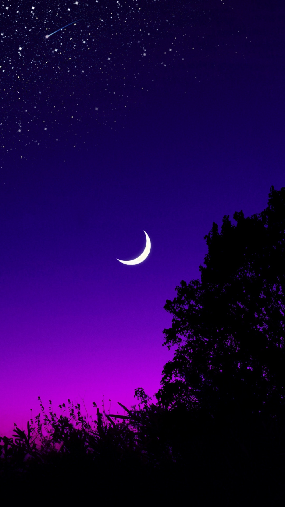 moon, tree, starry sky, night,. Scenery wallpaper, Starry night wallpaper, Night sky wallpaper