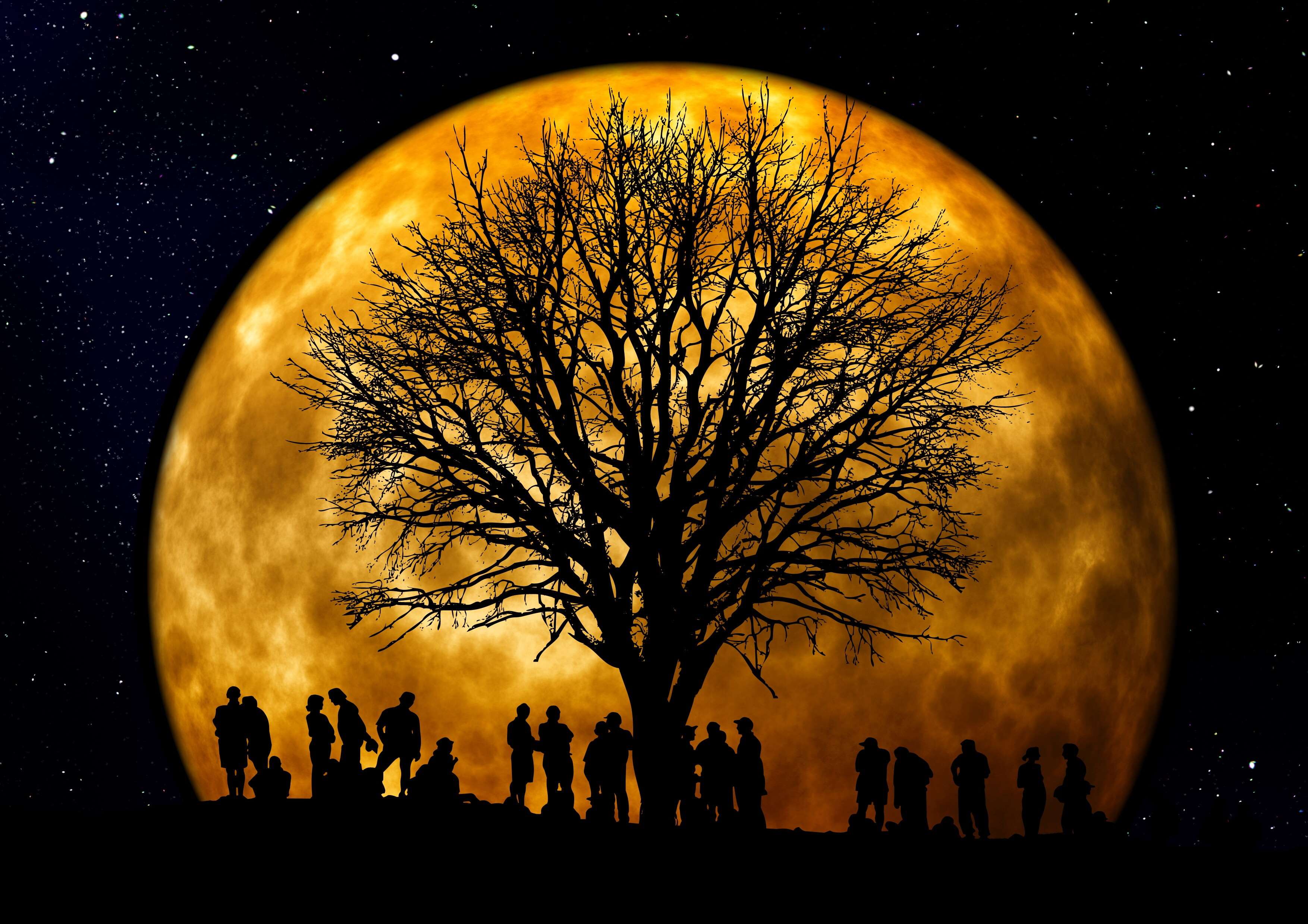 community, dark, full moon, luna, moon, night, people, silhouette, stars, tree wallpaper