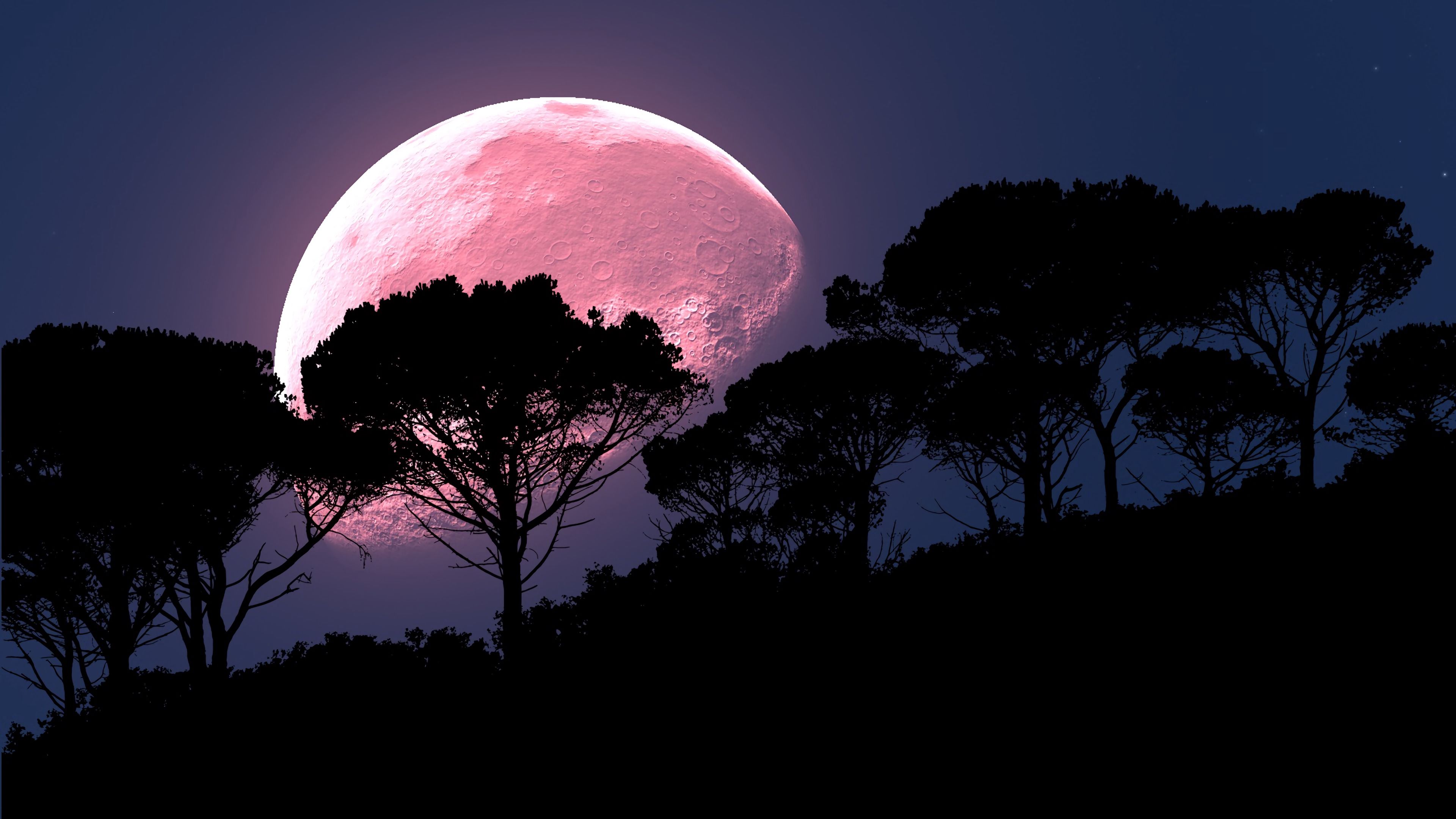 Download wallpaper 3840x2160 moon, tree, photohop, night, full moon, planet HD background