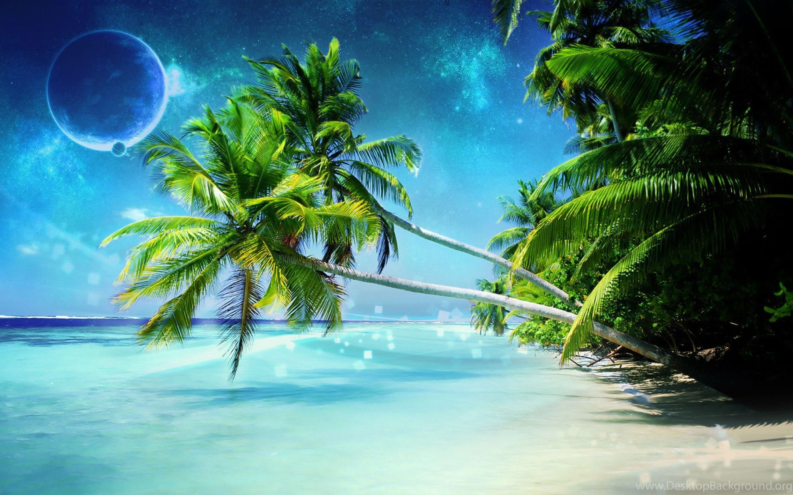 Beach Coconut Fantasy Moon Tree HD Wallpaper Desktop Background