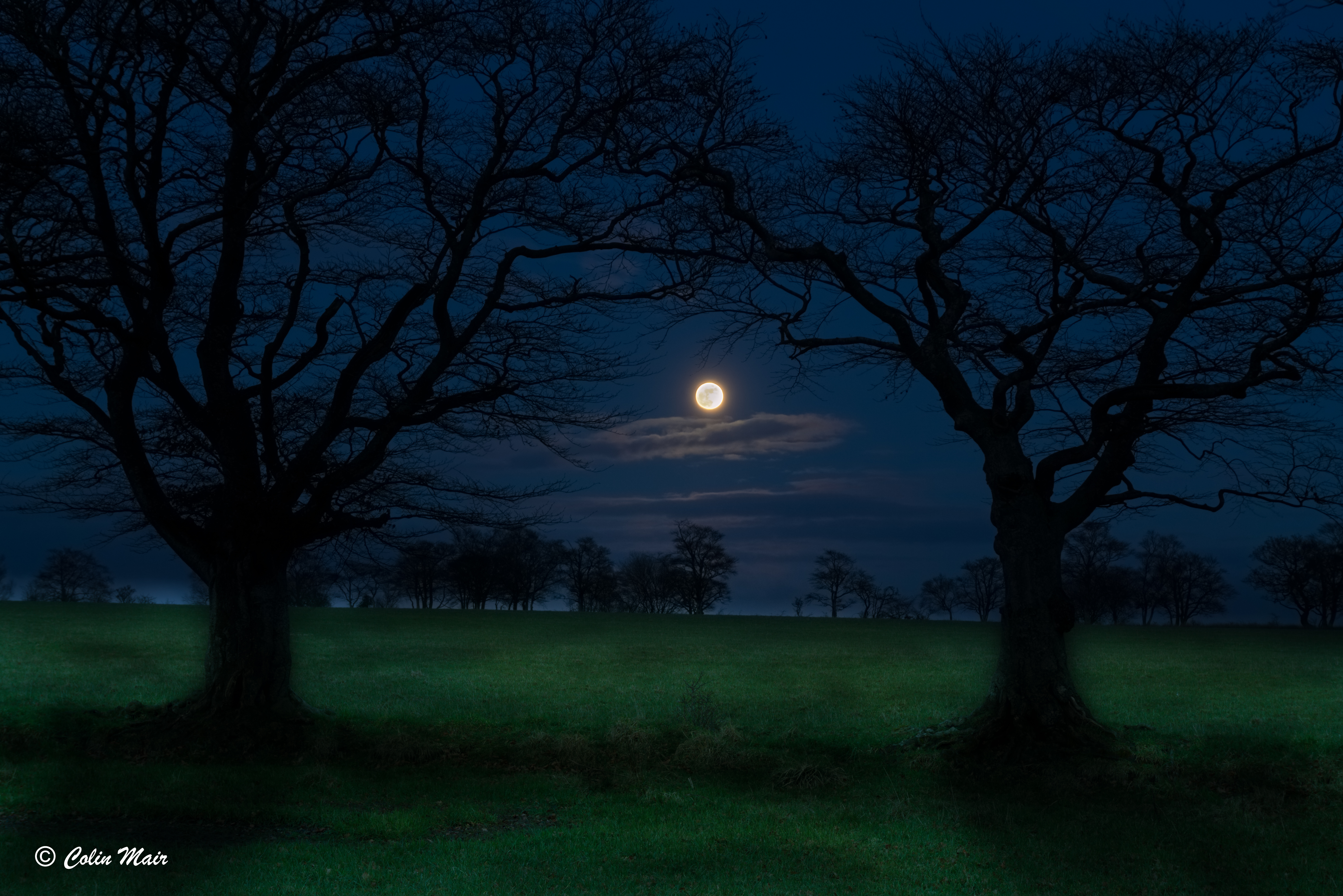 Wallpaper, ochiltree, ayrshire, Moon, trees, silhouette, field, sky, clouds, moonlit, blue, Sony, ilce6000 5838x3895