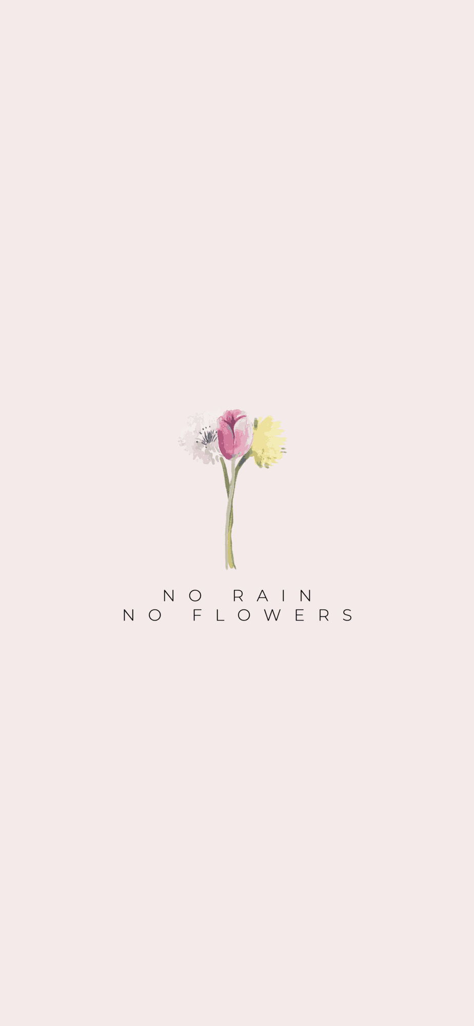 Download No Rain No Flowers Small Quotes Wallpaper  Wallpaperscom