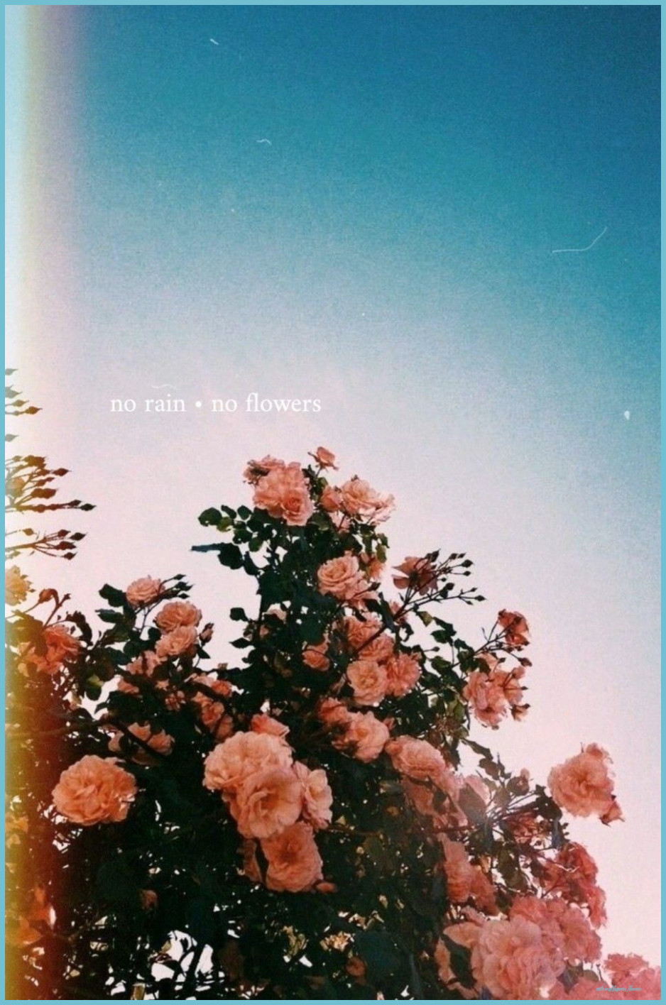New  The Sun Will Come Out No Rain No Flowers HD phone wallpaper  Pxfuel