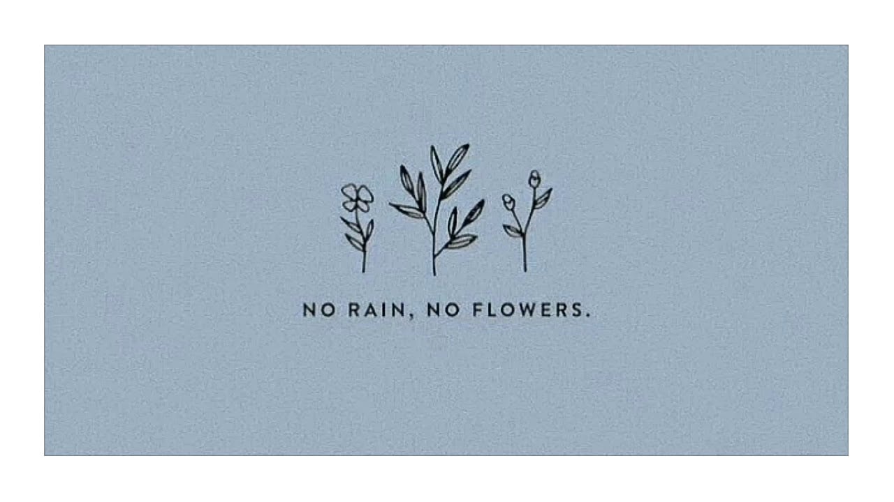 NO RAIN, NO FLOWERS