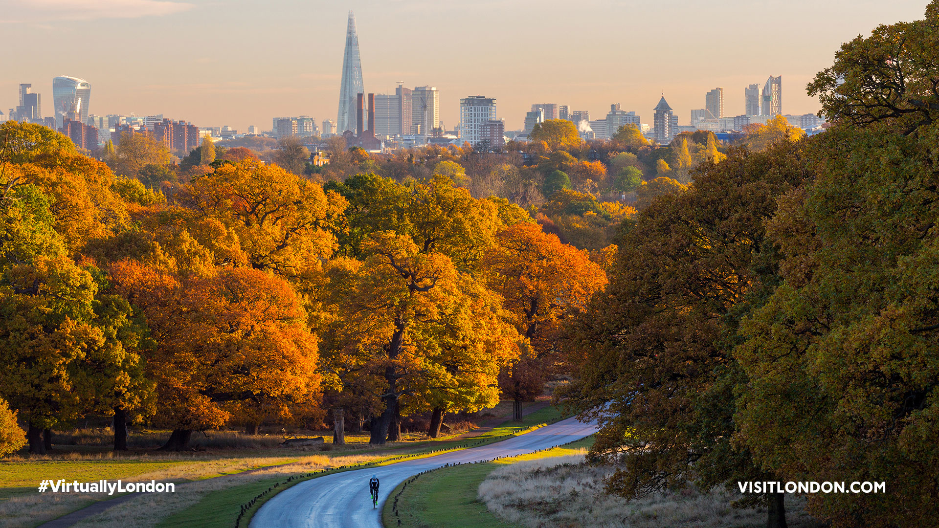 Virtually London: Zoom background