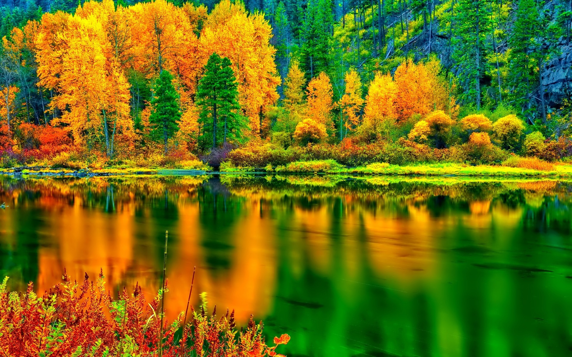 Autumn Nature Photography HD Wallpaper 06