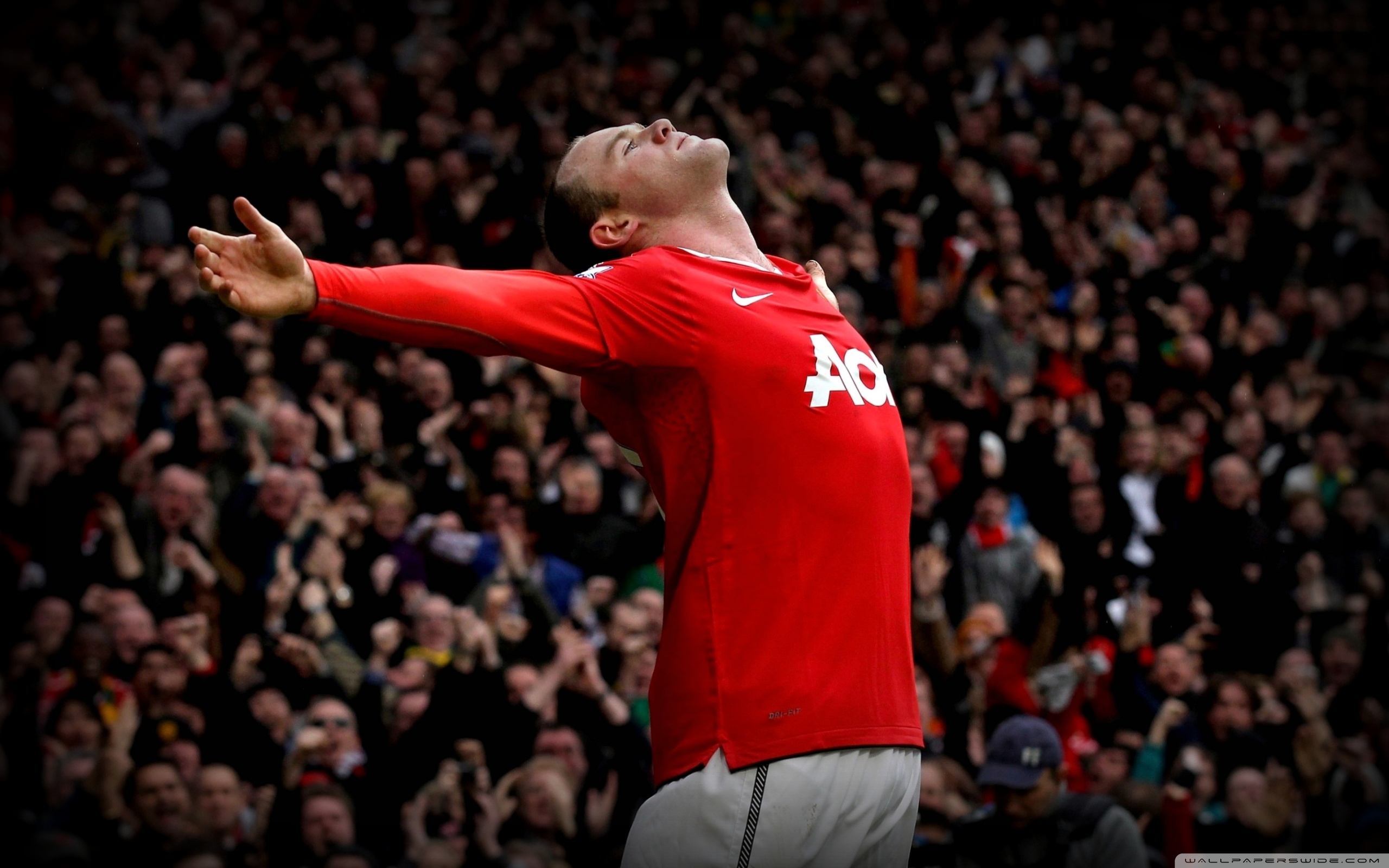 Manchester United Wayne Rooney Celebration HD Wallpaper