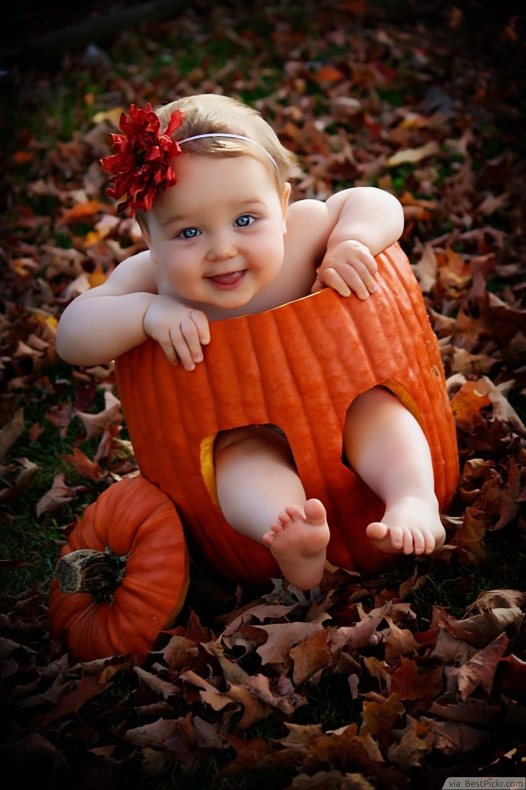 Cute Baby Halloween Wallpapers - Wallpaper Cave