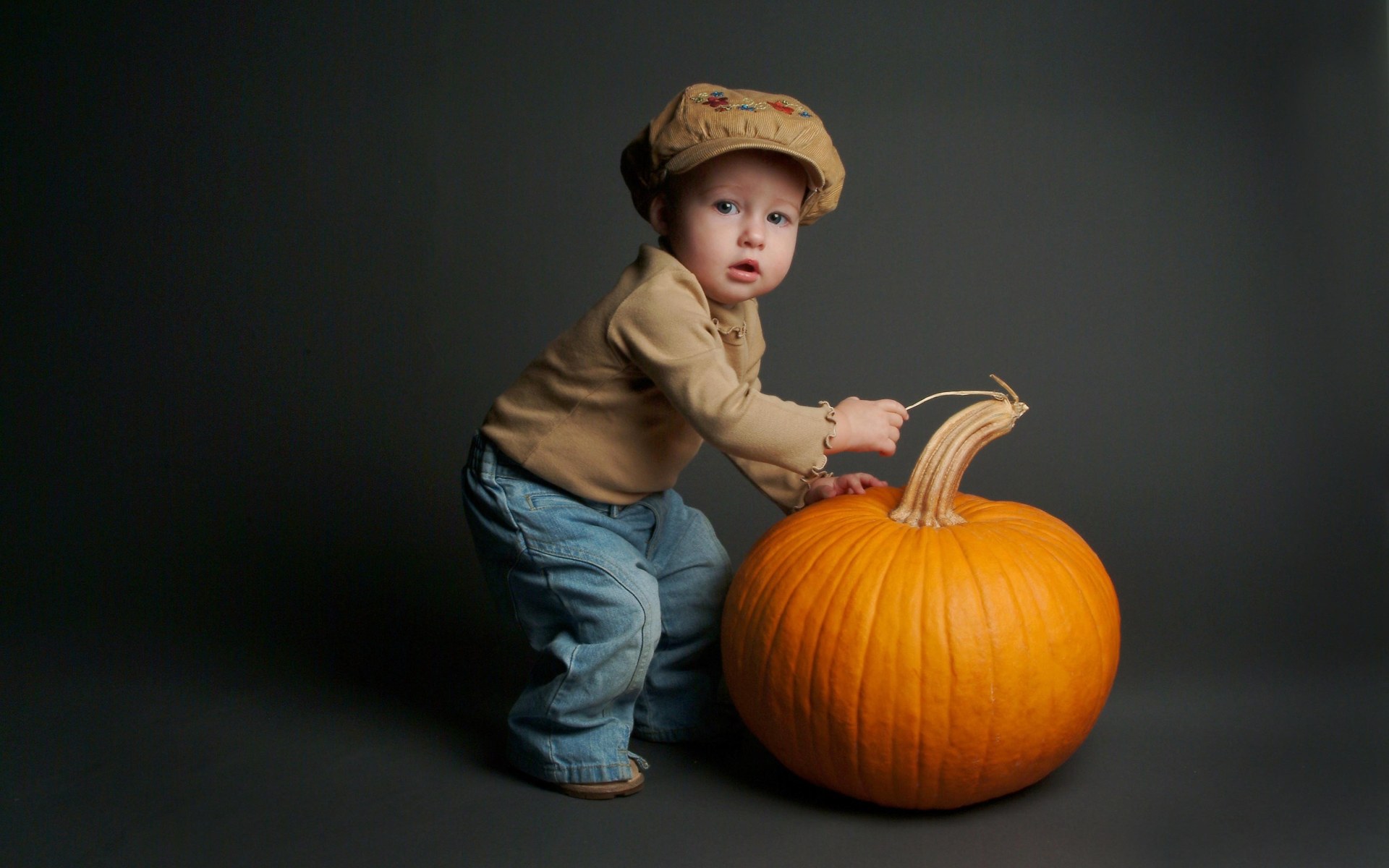 Cute Baby pumpkin 2011 wallpaper Wallpaper Wallpaper 92733