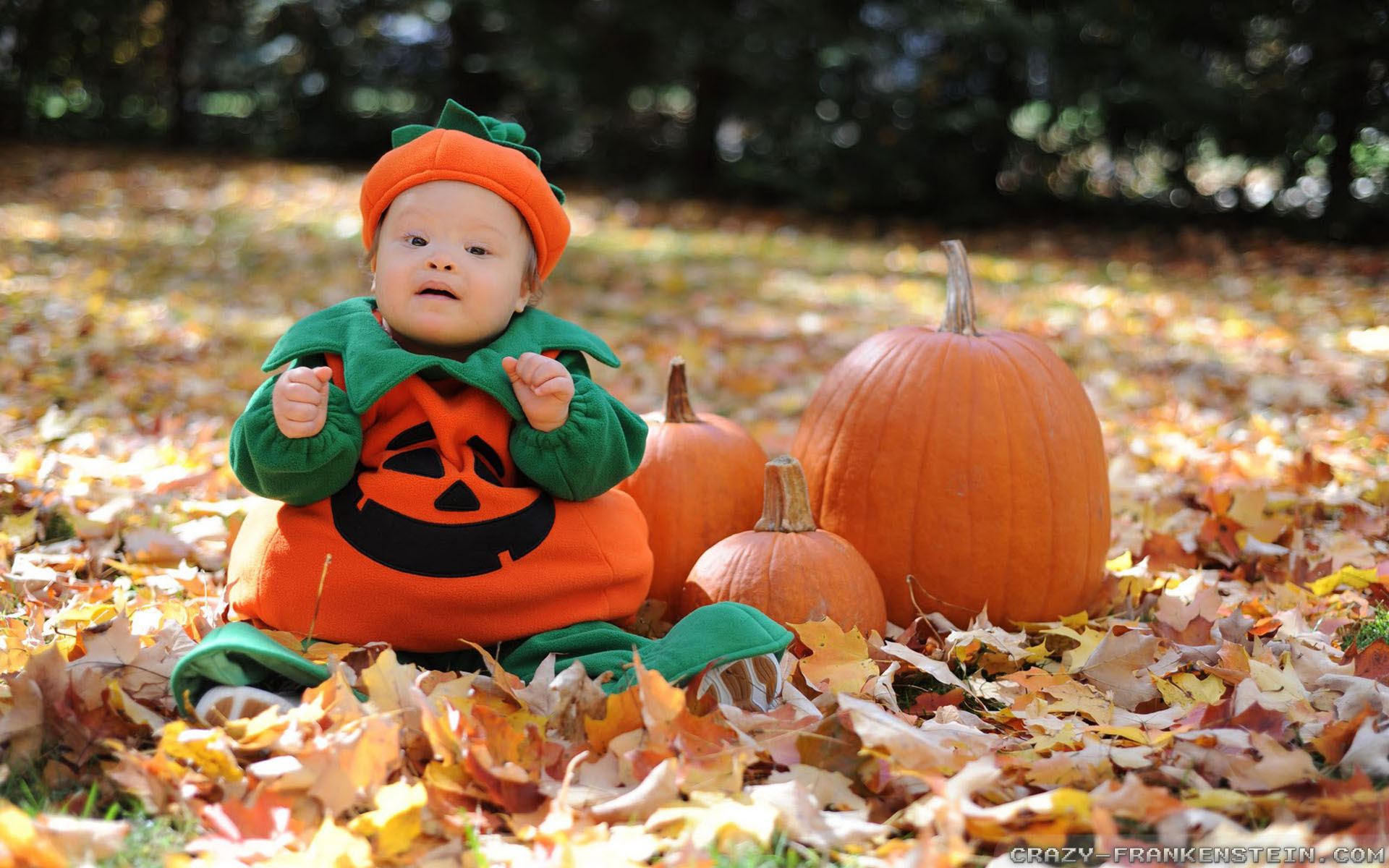 Cute Baby Halloween Wallpapers - Wallpaper Cave