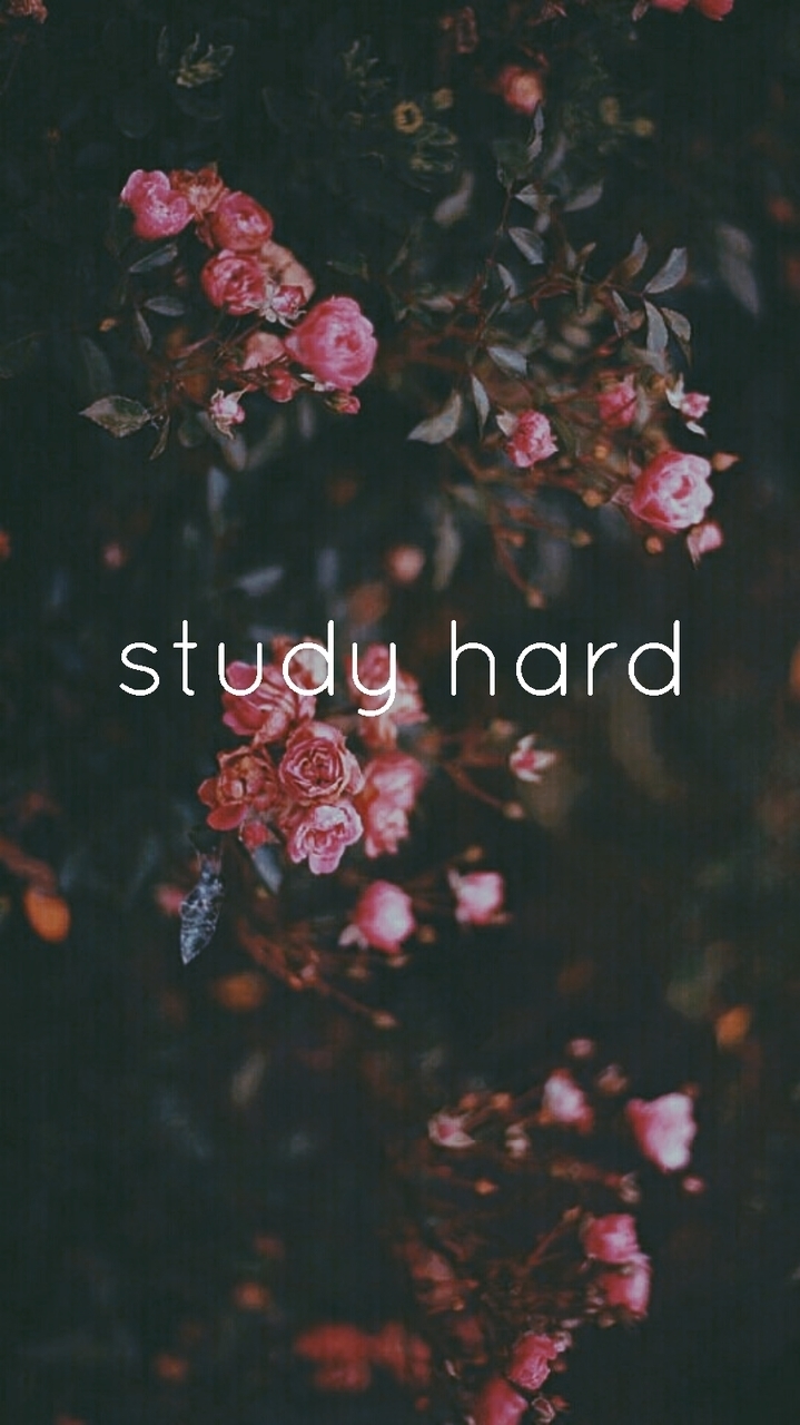 College, Study, And Study Hard Image