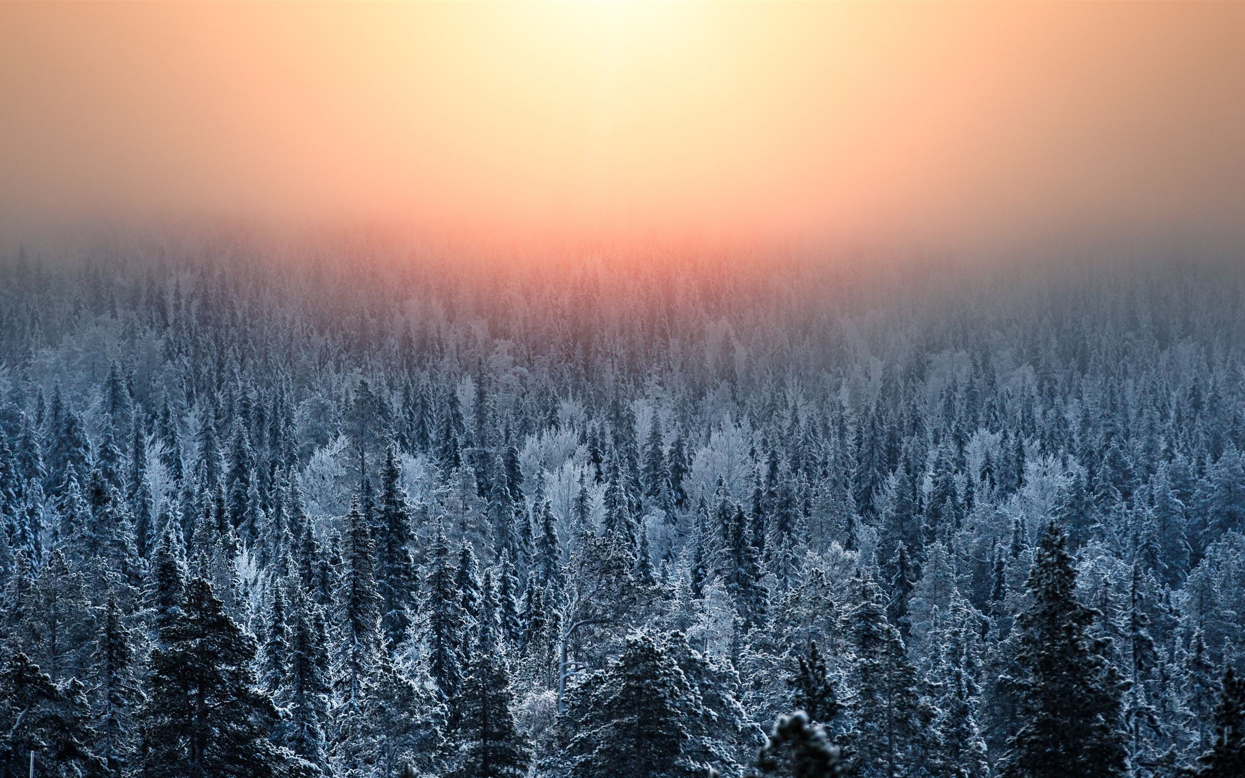 Cute Winter Macbook Wallpapers - Wallpaper Cave