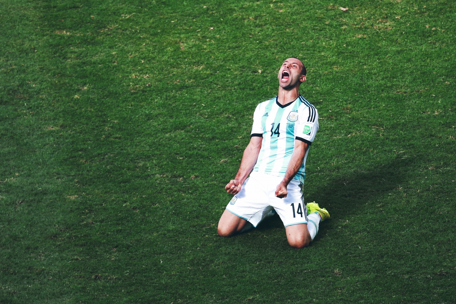 How will Javier Mascherano be remembered when he retires?