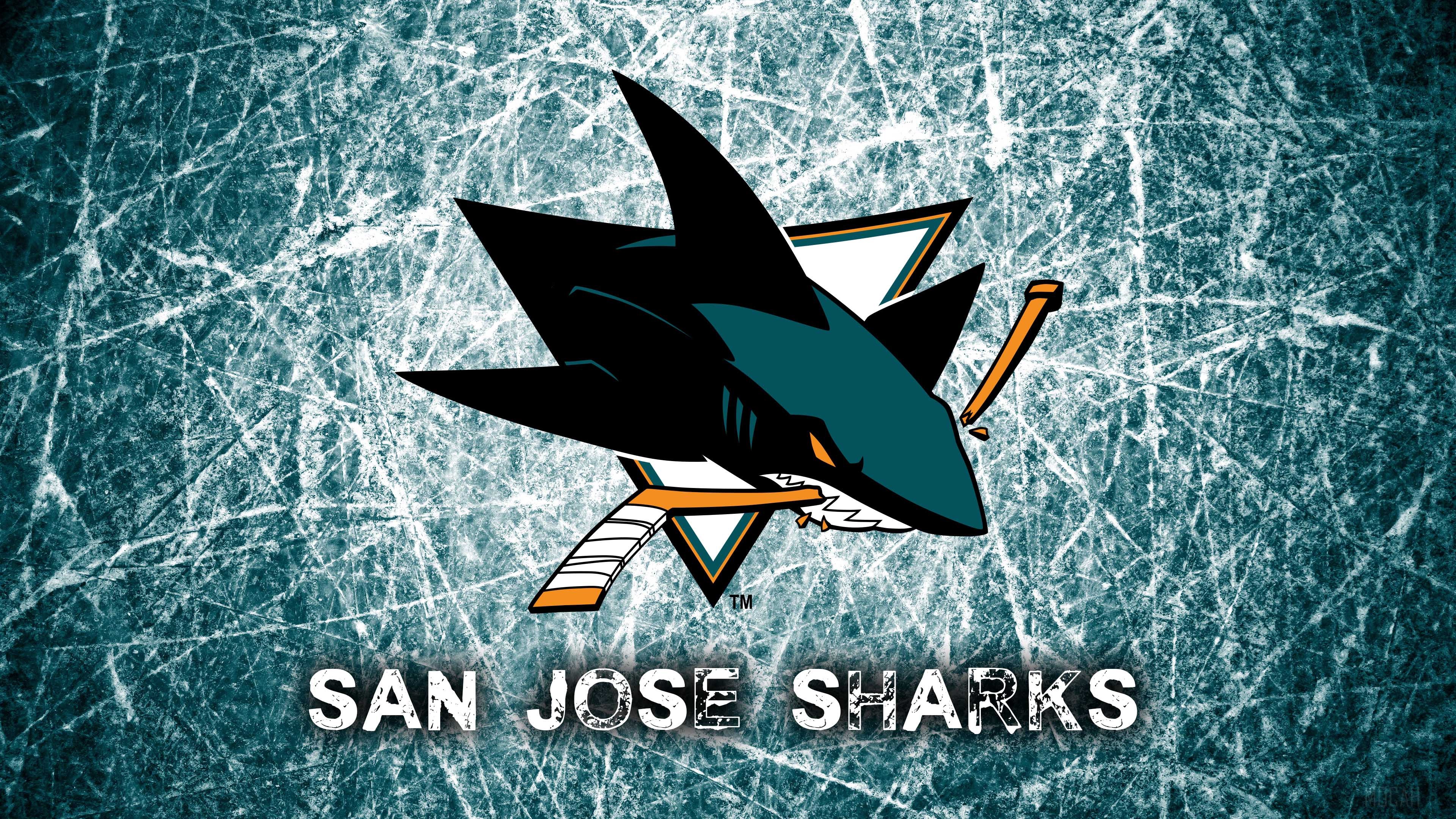 San Jose Sharks HD wallpaper, Background