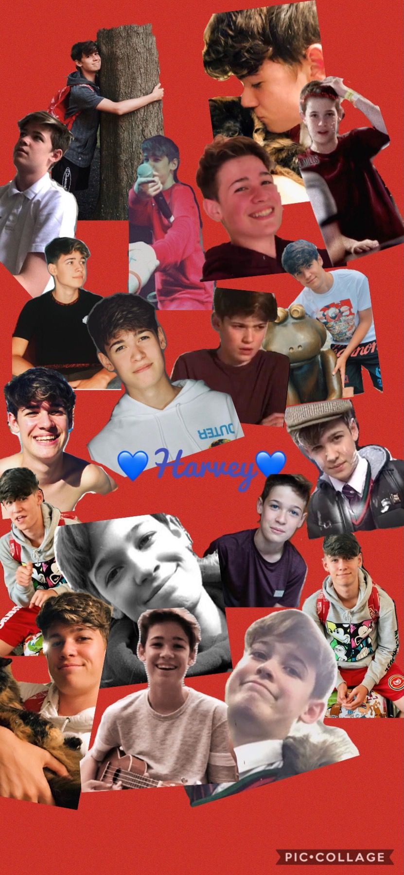 Max And Harvey Wallpapers - Wallpaper Cave