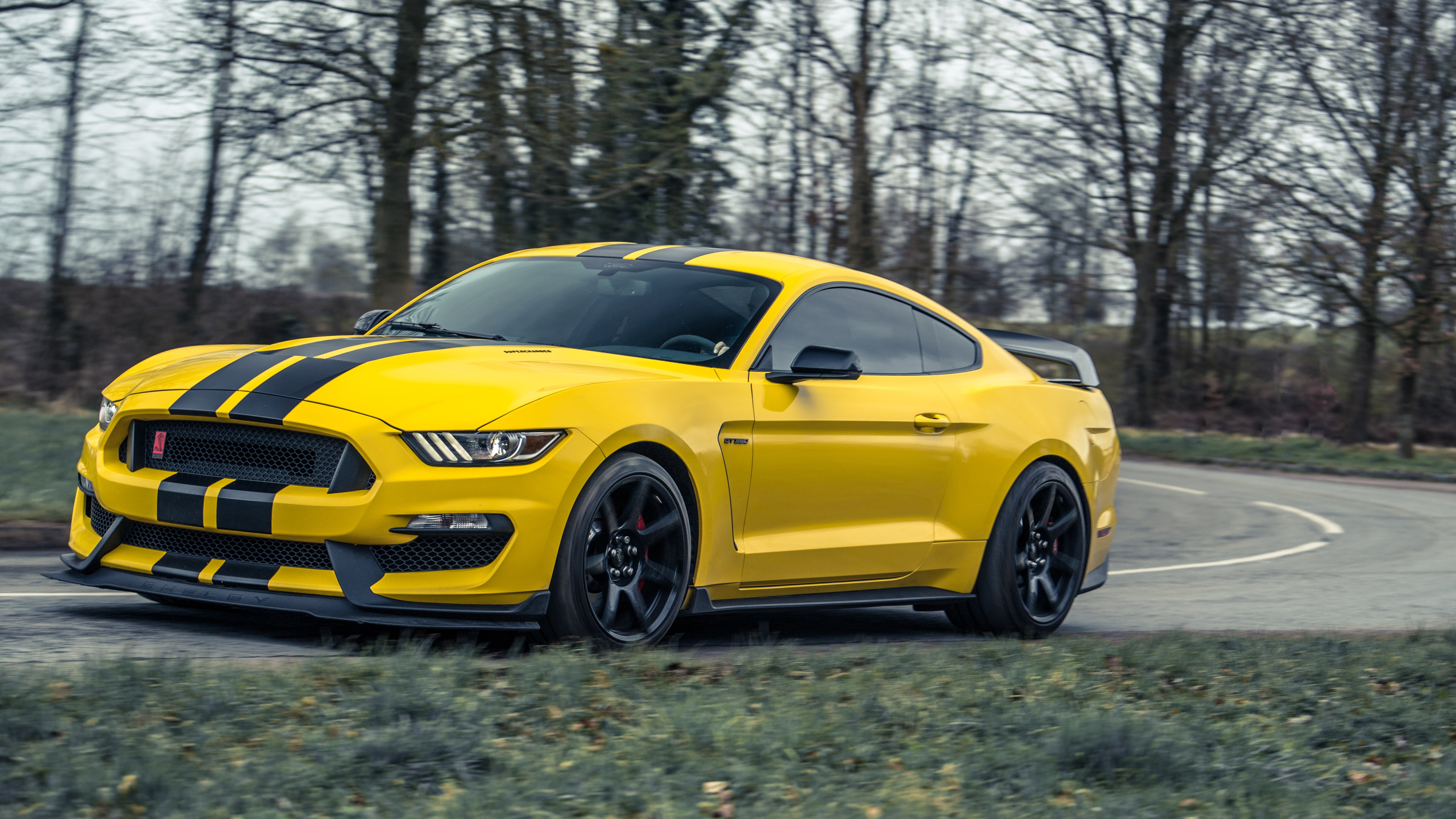 Yellow Mustang 5k, HD Cars, 4k Wallpaper, Image, Background, Photo and Picture