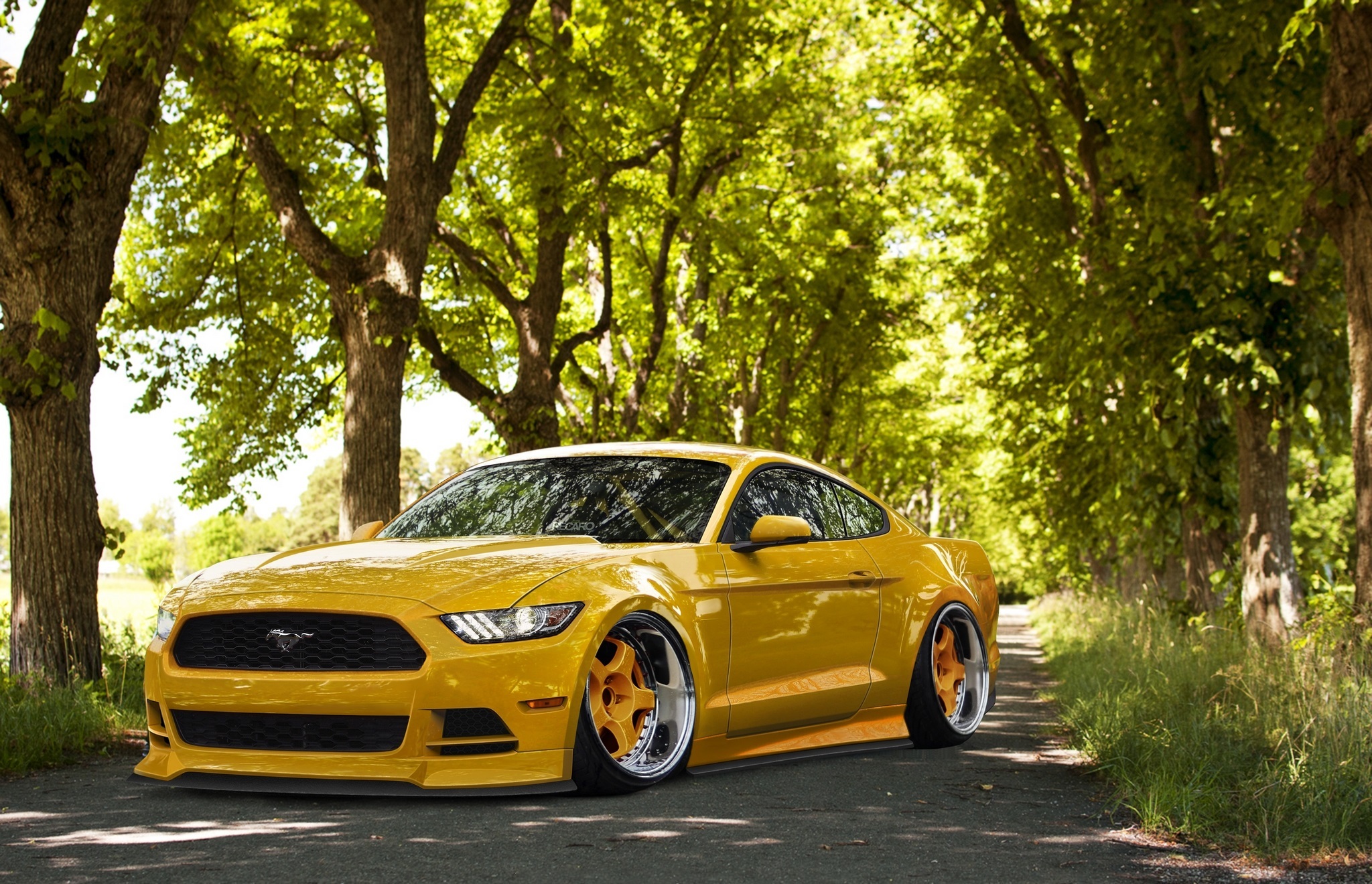 Yellow 2015 Mustang Wallpaper