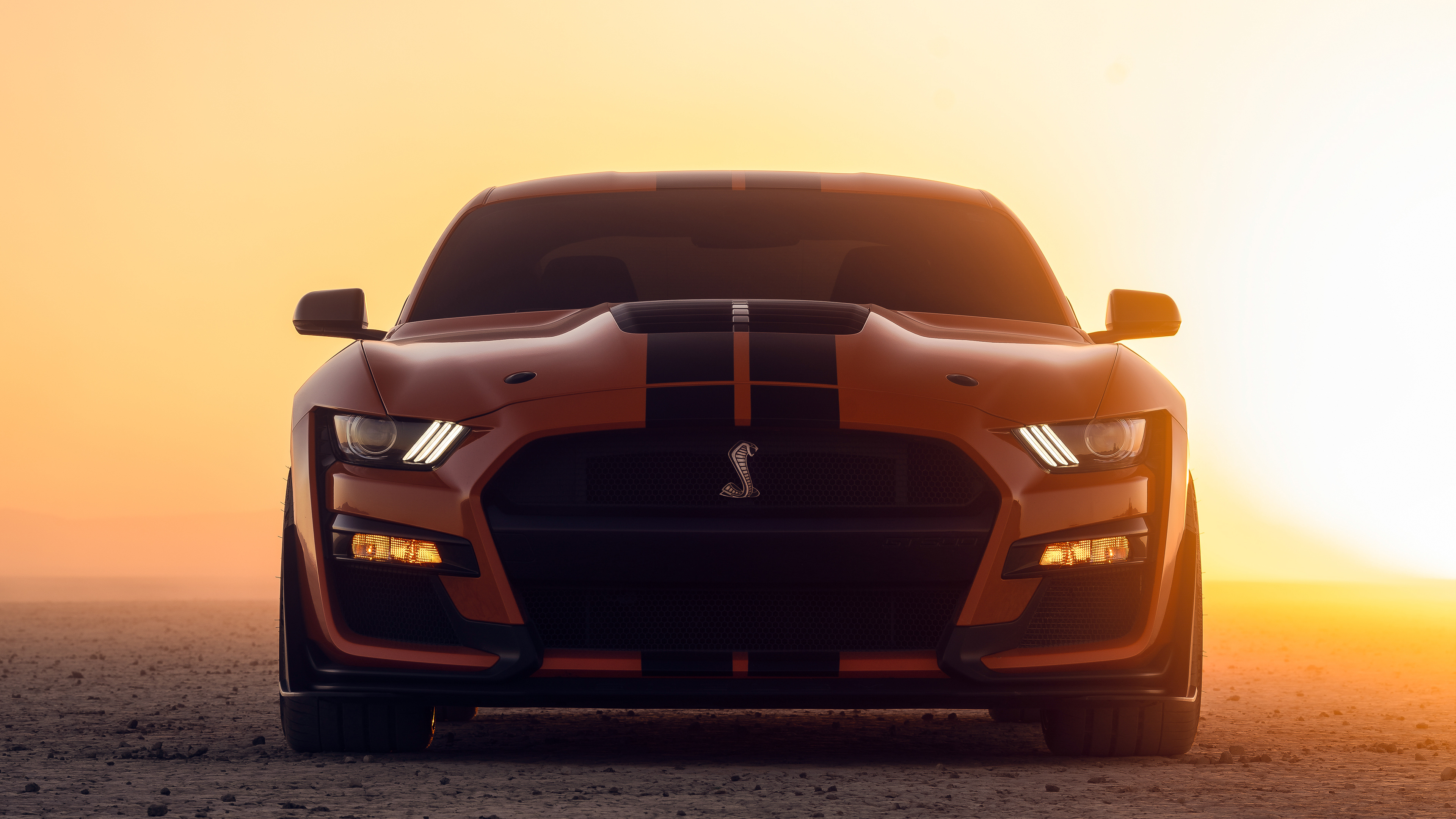 Shelby gt500 фото на рассвете