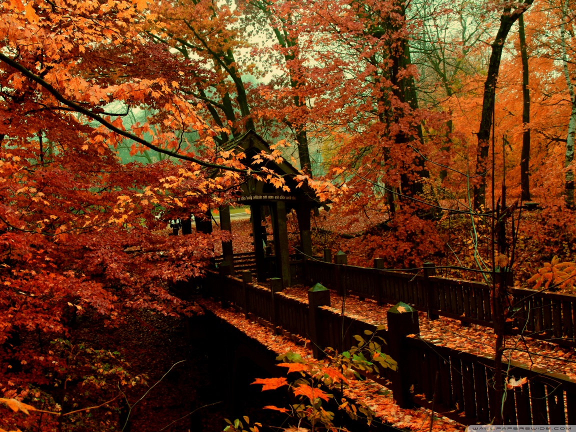 A Bridge to Autumn Ultra HD Desktop Background Wallpaper for 4K UHD TV, Widescreen & UltraWide Desktop & Laptop, Multi Display, Dual Monitor, Tablet