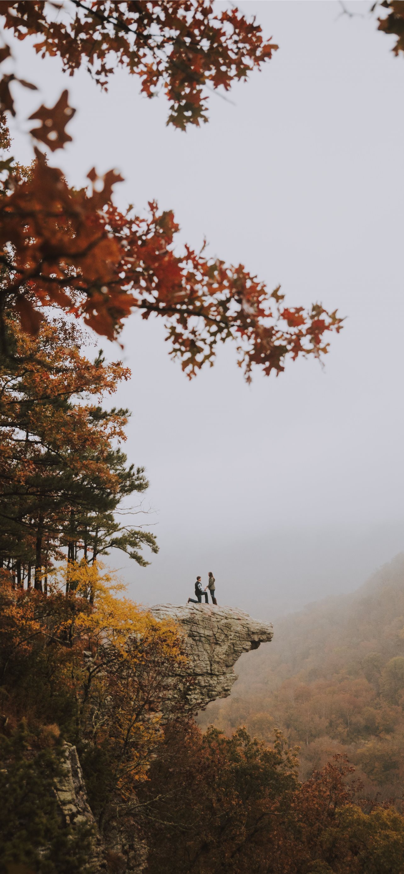 Best Arkansas iPhone HD Wallpaper