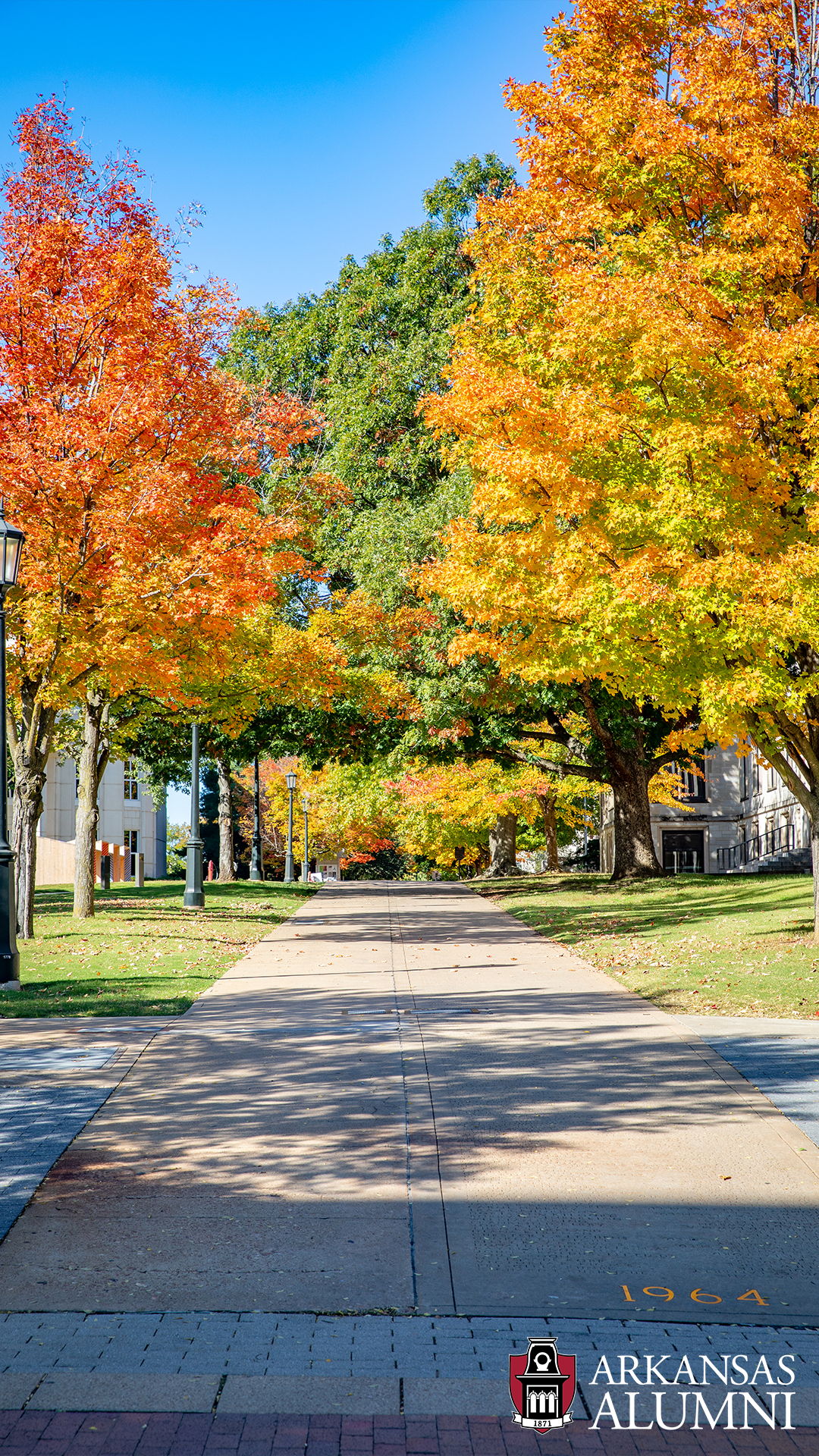 Arkansas Alumni Online Community