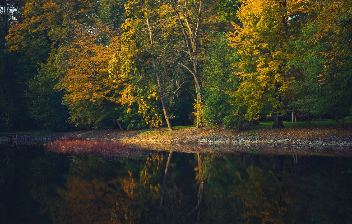 Wallpaper autumn, forest, water, light, trees, pond, Park, reflection, the dark background, shore, channel, pond image for desktop, section пейзажи